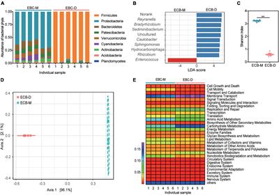 Gut Microbiota of Ostrinia nubilalis Larvae Degrade Maize Cellulose